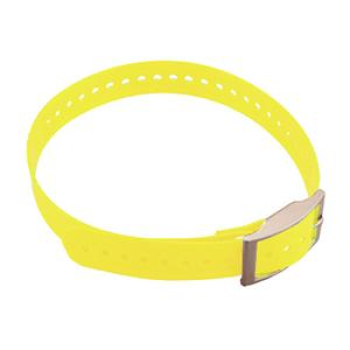 Hundehalsband Gelb (2,5 cm)