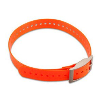 KleinesHundehalsband Orange (2,5 cm)