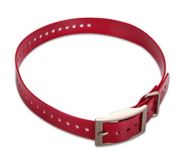 Hundehalsband Rot (2,5 cm)